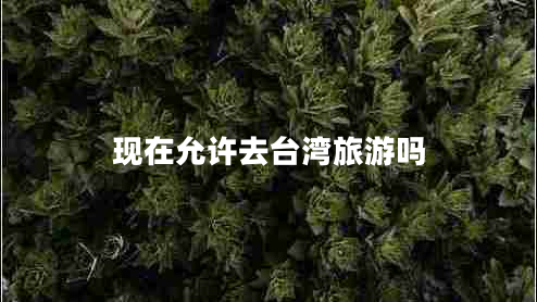 現在允許去臺灣旅游嗎