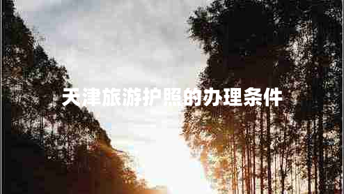 天津旅游護照的辦理條件