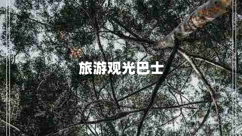 旅游觀(guān)光巴士
