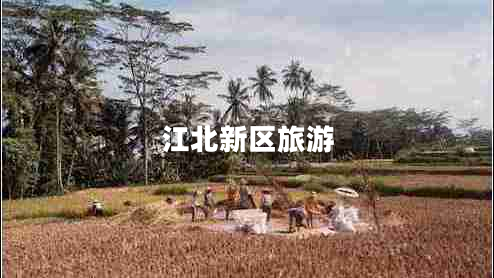 江北新區旅游