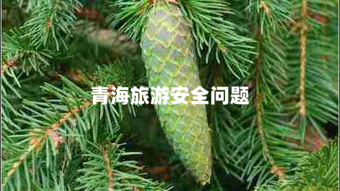 青海旅游安全問(wèn)題