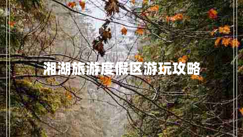 湘湖旅游度假區游玩攻略