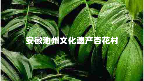 安徽池州文化遺產(chǎn)杏花村