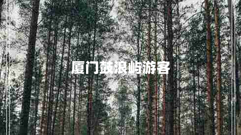 廈門(mén)鼓浪嶼游客