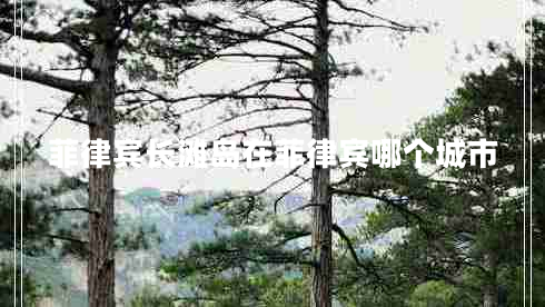 菲律賓長(cháng)灘島在菲律賓哪個(gè)城市