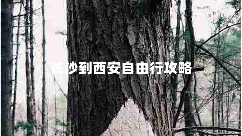 長(cháng)沙到西安自由行攻略