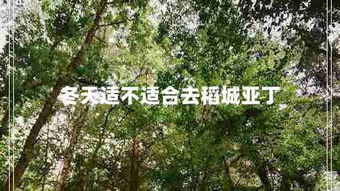 冬天適不適合去稻城亞丁