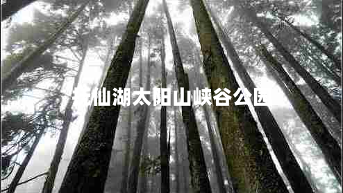 撫仙湖太陽(yáng)山峽谷公園