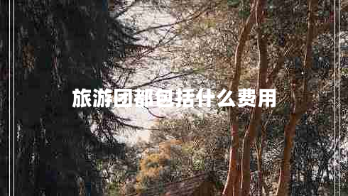 旅游團都包括什么費用