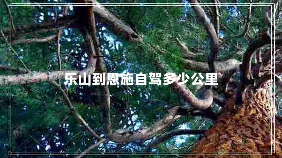 樂(lè )山到恩施自駕多少公里