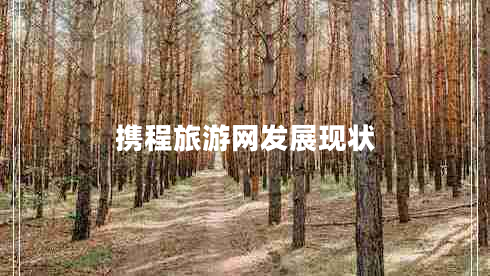 攜程旅游網(wǎng)發(fā)展現狀