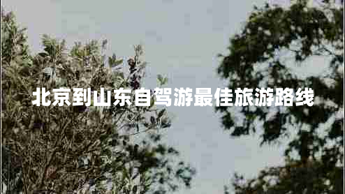 北京到山東自駕游最佳旅游路線(xiàn)