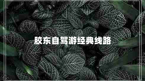膠東自駕游經(jīng)典線(xiàn)路