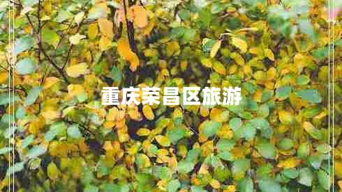 重慶榮昌區旅游