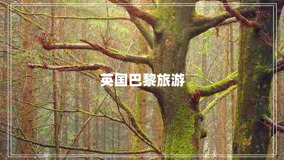 英國巴黎旅游