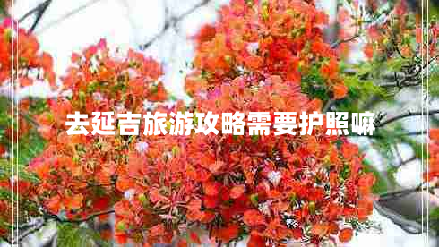 去延吉旅游攻略需要護照嘛