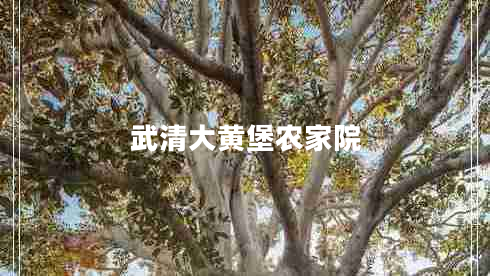 武清大黃堡農家院