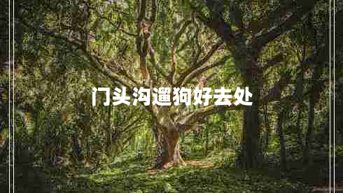 門(mén)頭溝遛狗好去處