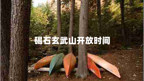 碣石玄武山開(kāi)放時(shí)間