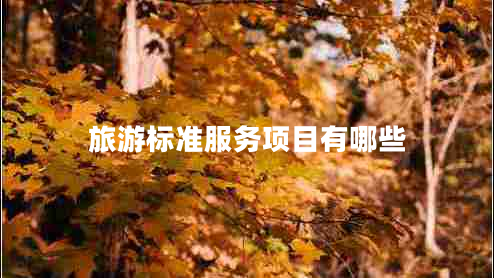 旅游標準服務(wù)項目有哪些