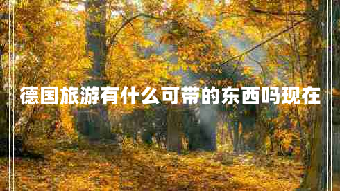 德國旅游有什么可帶的東西嗎現在