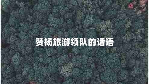 贊揚旅游領(lǐng)隊的話(huà)語(yǔ)