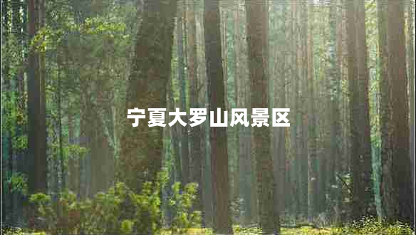 寧夏大羅山風(fēng)景區