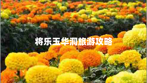 將樂(lè )玉華洞旅游攻略