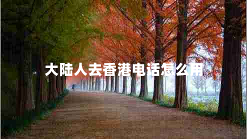 大陸人去香港電話(huà)怎么用