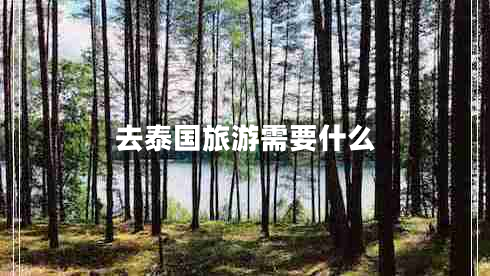 去泰國旅游需要什么
