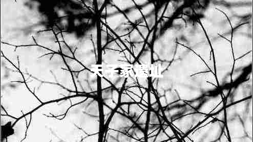 天子冢遺址