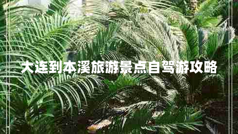 大連到本溪旅游景點(diǎn)自駕游攻略