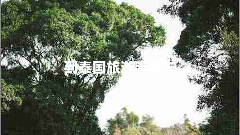 到泰國旅游手機卡