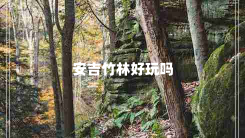 安吉竹林好玩嗎