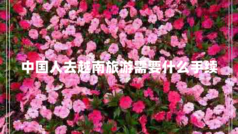 中國人去越南旅游需要什么手續