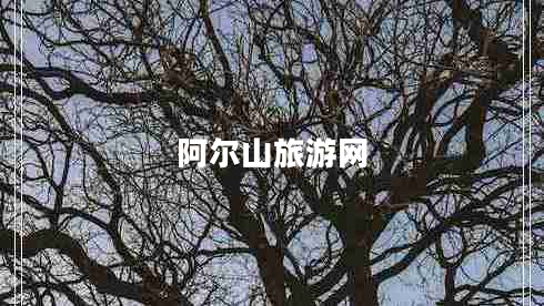 阿爾山旅游網(wǎng)