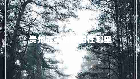貴州最美的梯田在哪里