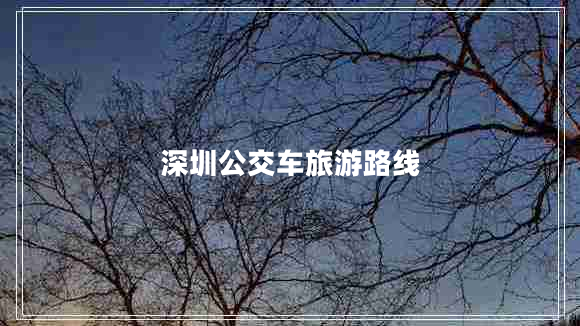 深圳公交車(chē)旅游路線(xiàn)