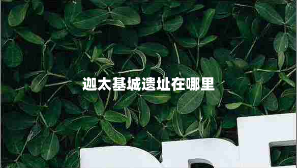 迦太基城遺址在哪里