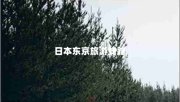 日本東京旅游線(xiàn)路