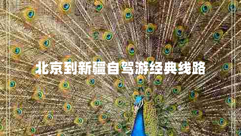 北京到新疆自駕游經(jīng)典線(xiàn)路