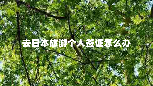 去日本旅游個(gè)人簽證怎么辦