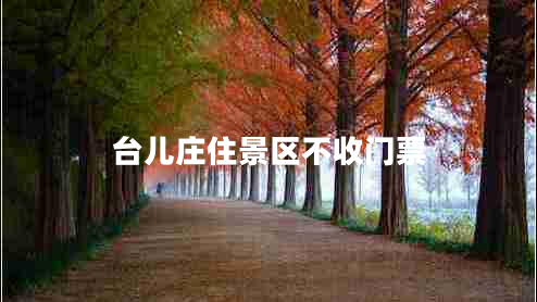 臺兒莊住景區不收門(mén)票
