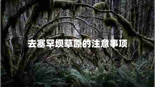 去塞罕壩草原的注意事項