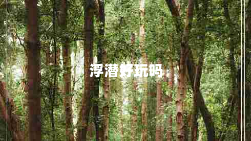 浮潛好玩嗎