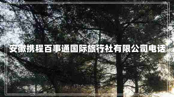 安徽攜程百事通國際旅行社有限公司電話(huà)