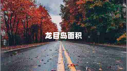 龍目島面積