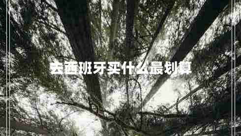 去西班牙買(mǎi)什么最劃算