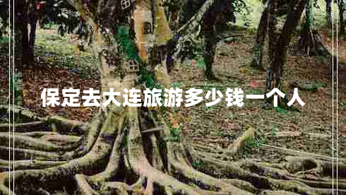 保定去大連旅游多少錢(qián)一個(gè)人