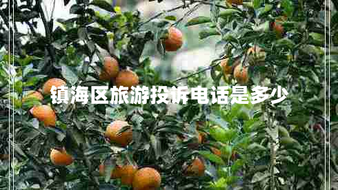 鎮海區旅游投訴電話(huà)是多少